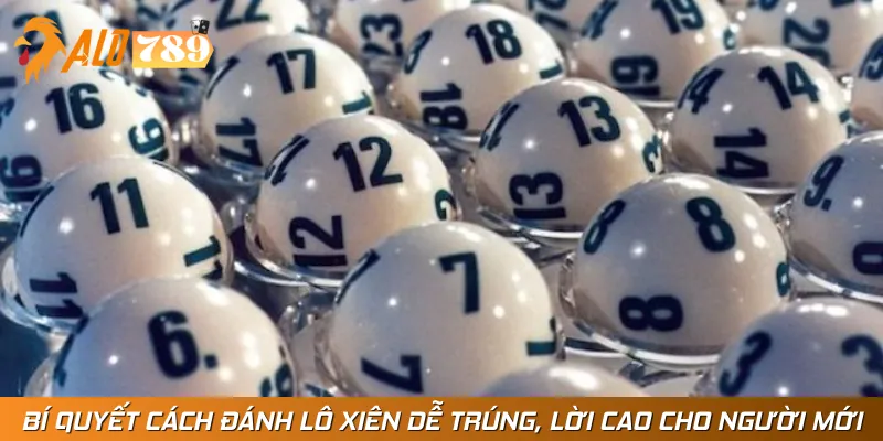 Bí Quyết Cách Đánh Lô Xiên Dễ Trúng, Lời Cao Cho Người Mới