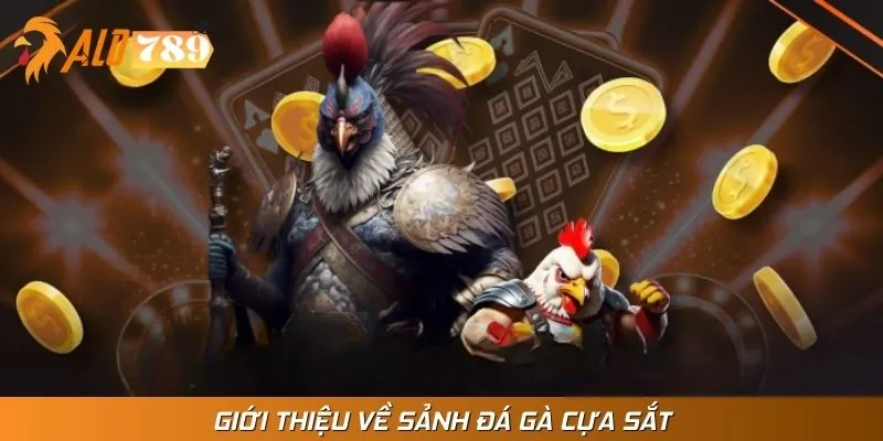 Đá gà cựa sắt - Sân chơi giải trí “đỉnh nóc kịch trần”