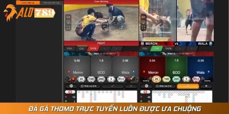 Yếu tố tạo nên sức hút bền vững cho sảnh game