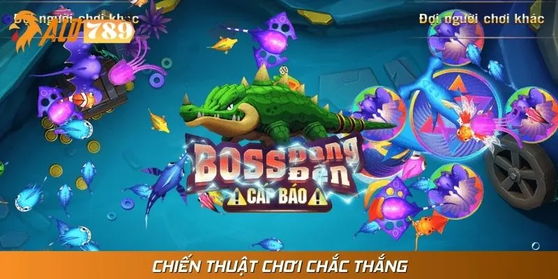 Kinh nghiệm săn cá “bắn là trúng” từ cao thủ