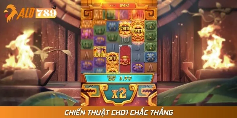 Tận dụng các kinh nghiệm xương máu từ cao thủ lành nghề