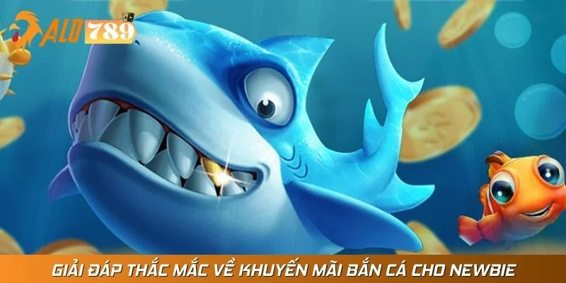 Giải đáp thắc mắc về khuyến mãi bắn cá cho newbie