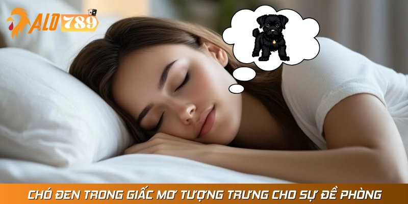 Giải mã giấc mơ thấy chó đen trong đêm