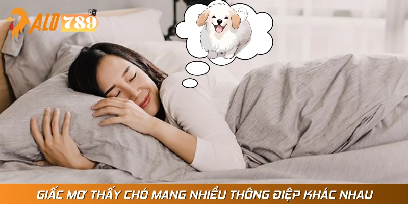 Giải mã ý nghĩa giấc mơ thấy chó chi tiết