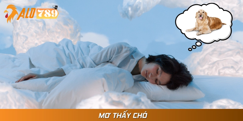 Mơ Thấy Chó Đánh Con Gì? Bật Mí Ý Nghĩa Chi Tiết Nhất