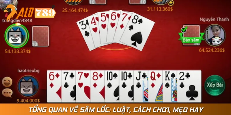 Giới thiệu về sâm lốc