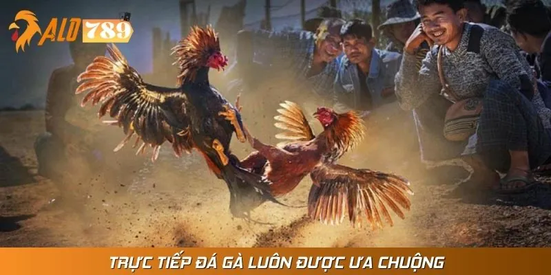 Lý do sảnh game được dân cược ưu ái