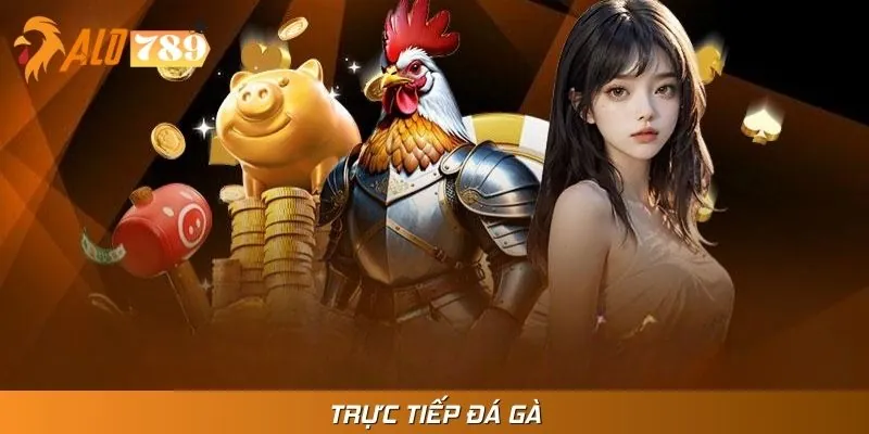 Trực Tiếp Đá Gà - Đấu Trường Nảy Lửa, Thưởng Đậm Tại ALO789