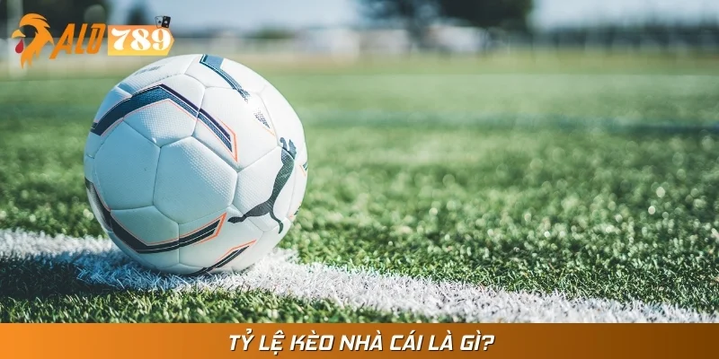 Tỷ lệ kèo nhà cái là những con số biết nói về diễn biến trận đấu