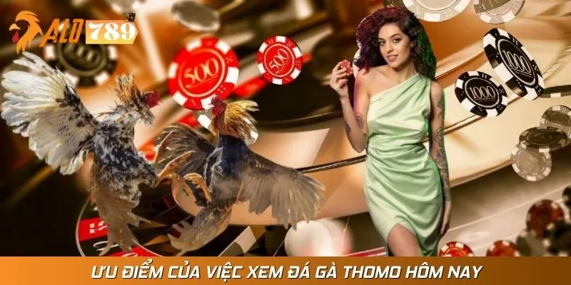 Ưu điểm khi xem đá gà thomo hôm nay trực tuyến