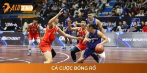 Cá Cược Bóng Rổ | Hướng Dẫn Chơi Từ A - Z Cho Tân Binh