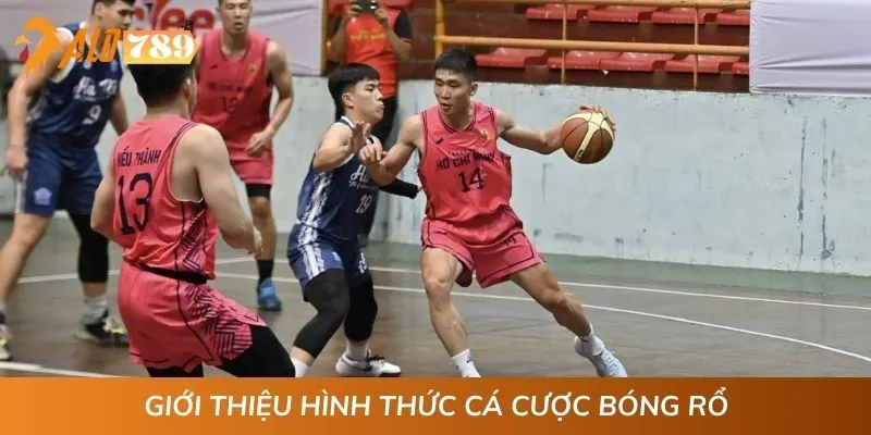 Giới thiệu hình thức cá cược bóng rổ