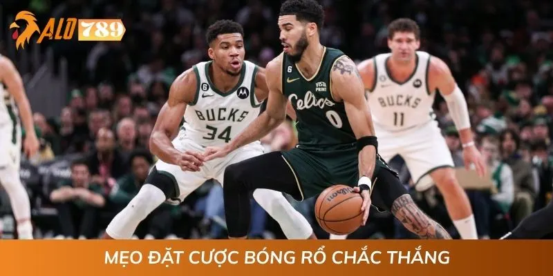 Mẹo đặt cược bóng rổ chắc thắng