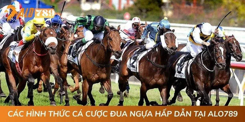Các hình thức cá cược đua ngựa hấp dẫn tại ALO789