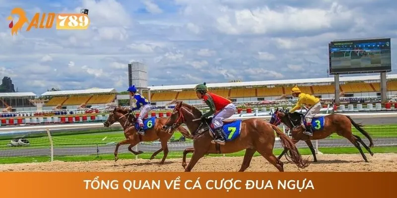Tổng quan về cá cược đua ngựa