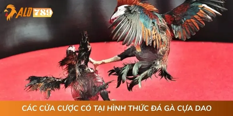Các cửa cược có tại hình thức đá gà cựa dao