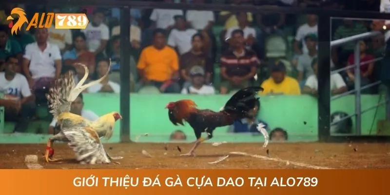Giới thiệu đá gà cựa dao tại ALO789