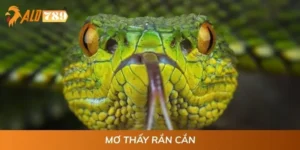 Mơ Thấy Rắn Cắn - Ý Nghĩa Cụ Thể Và Những Con Số May Mắn