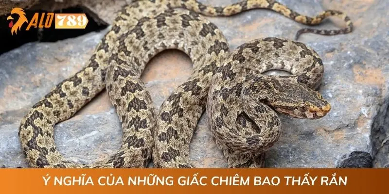 Ý nghĩa của những giấc chiêm bao thấy rắn